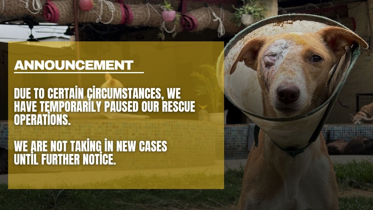 Urgent Notification